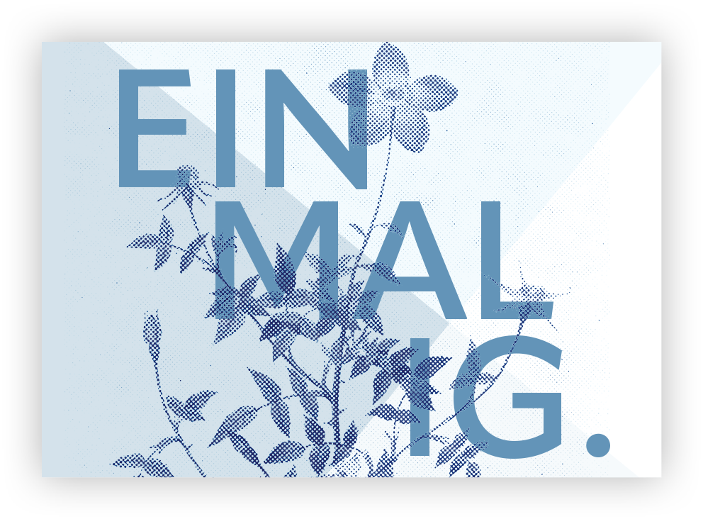 Mini – Einmalig.